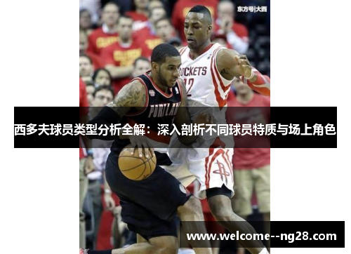 西多夫球员类型分析全解：深入剖析不同球员特质与场上角色
