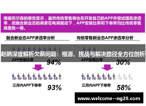 赵鹏深度解析欠薪问题：根源、挑战与解决路径全方位剖析