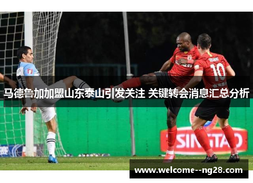 马德鲁加加盟山东泰山引发关注 关键转会消息汇总分析